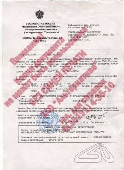 Справка Госкомстата России № 507/3-154 от 28.03.2003 об установленных кодов ОКВЭД